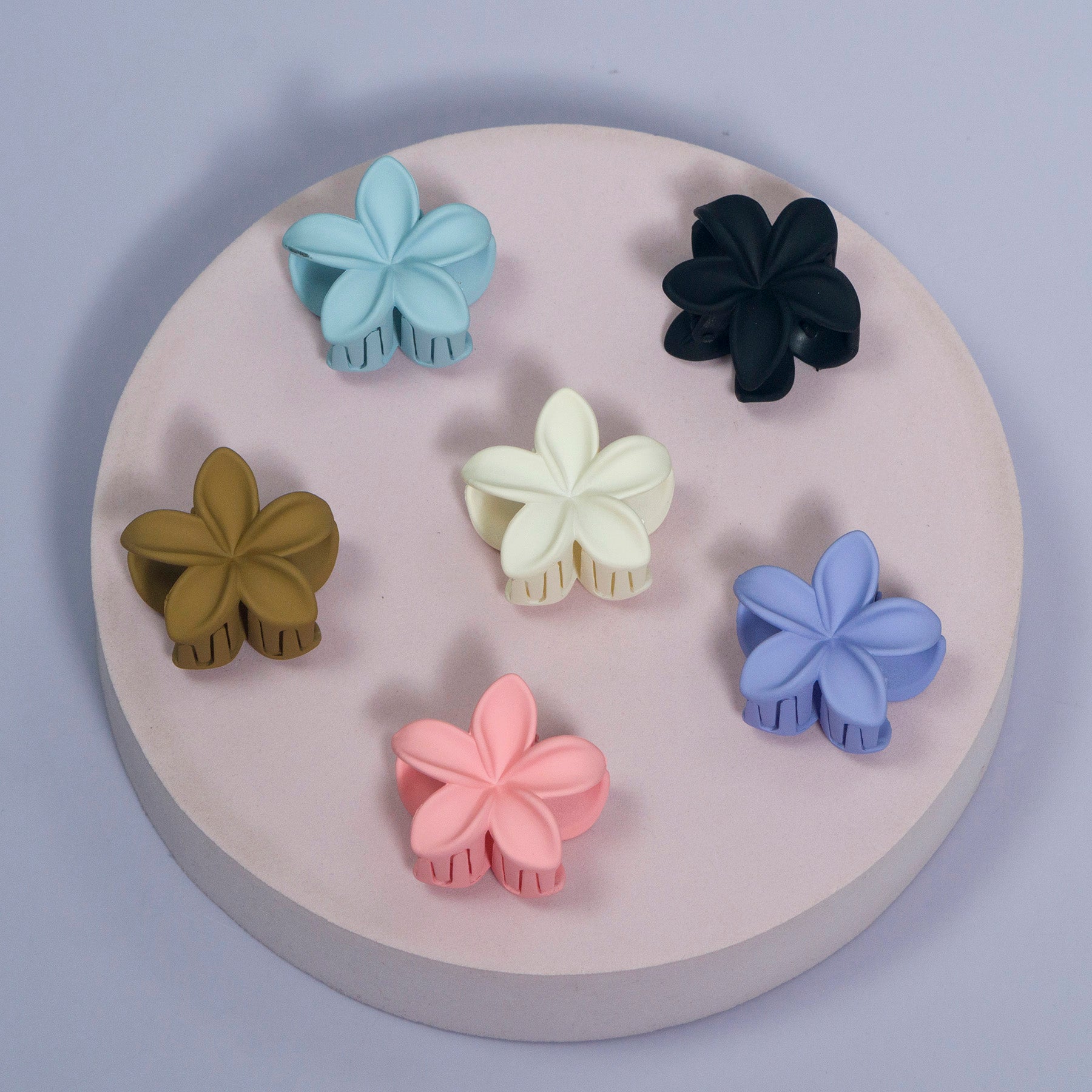 Matte Small Hawaii Hair Claw (6Pcs)  – UBK3074