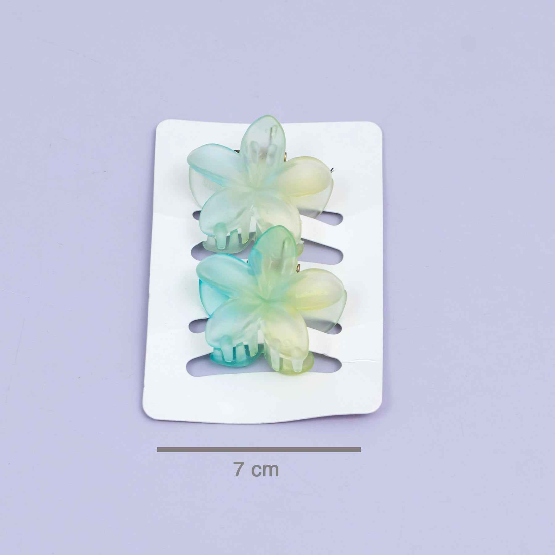 Gradient Mini Flower Hair Claw (Set of 2) – UBK3782