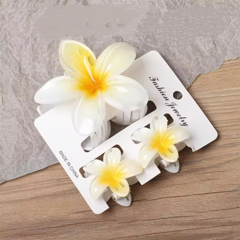 Glossy Plumeria Hair Claw Set – UBK3324