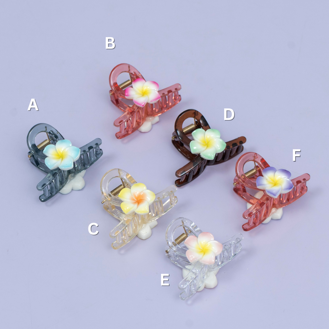Floral Transparent Hair Claw Clip – UBK3702