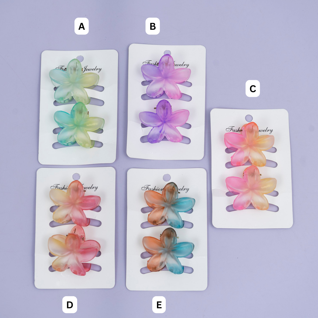 Gradient Mini Flower Hair Claw (Set of 2) – UBK3782