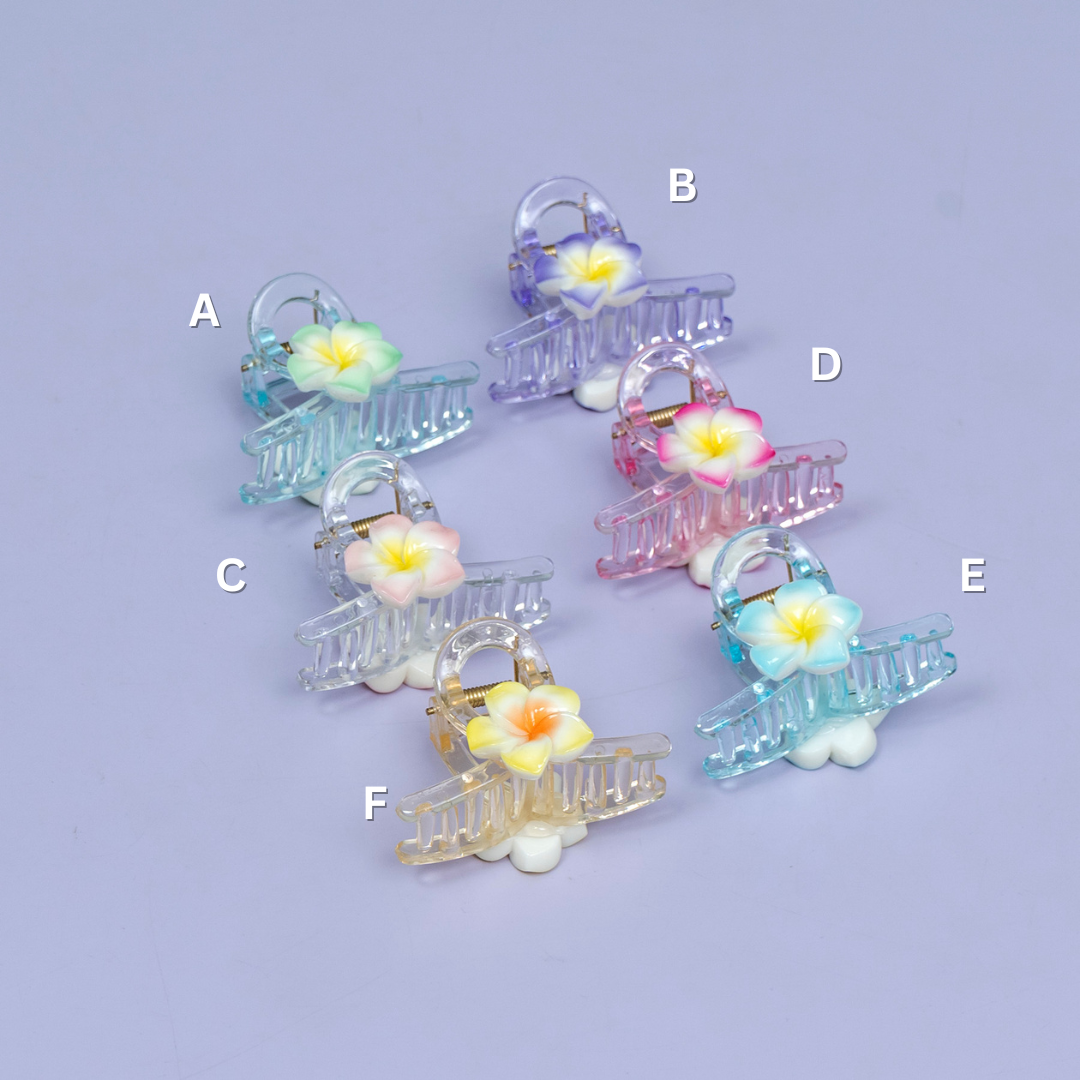 Floral Transparent Hair Claw Clip – UBK3707