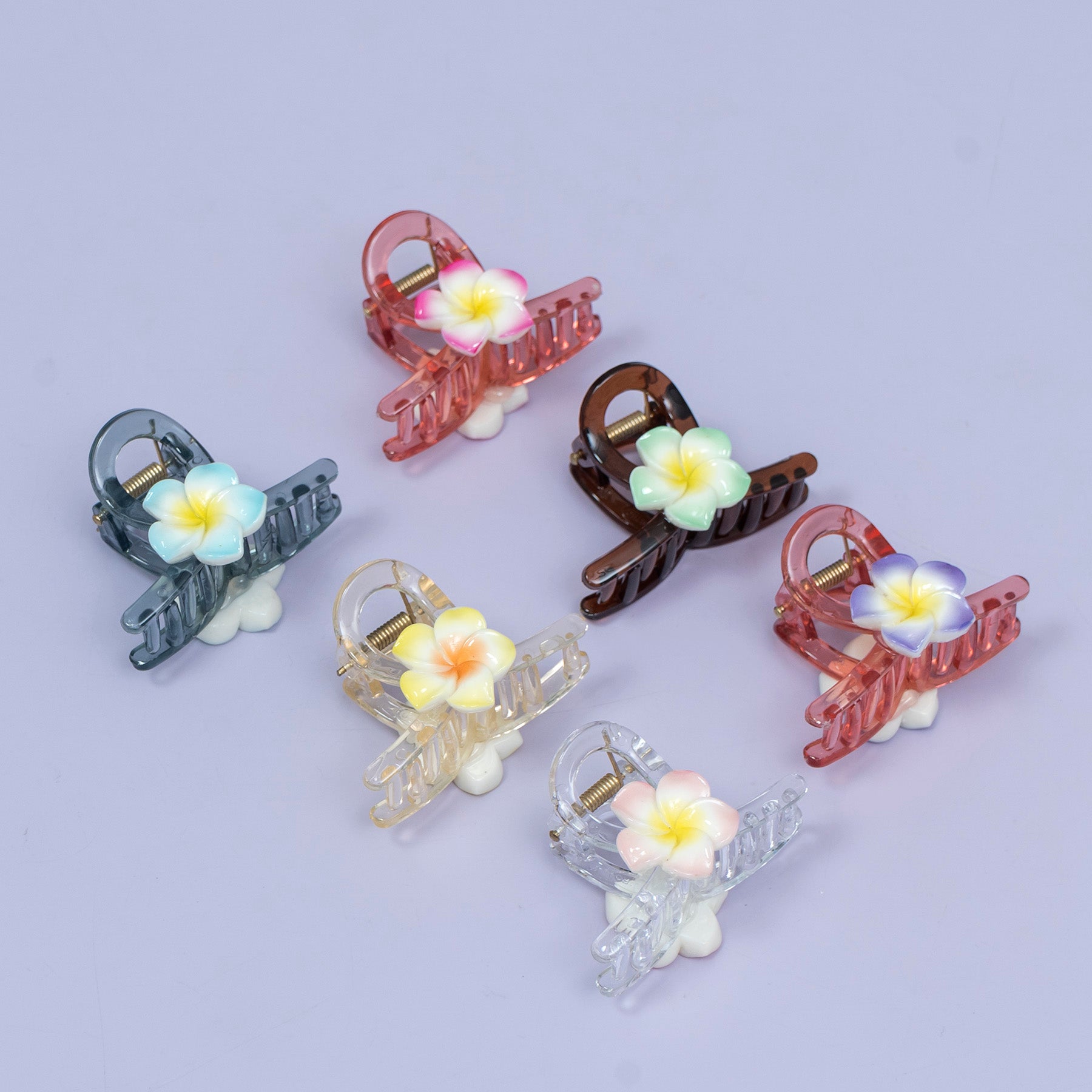 Floral Transparent Hair Claw Clip – UBK3702