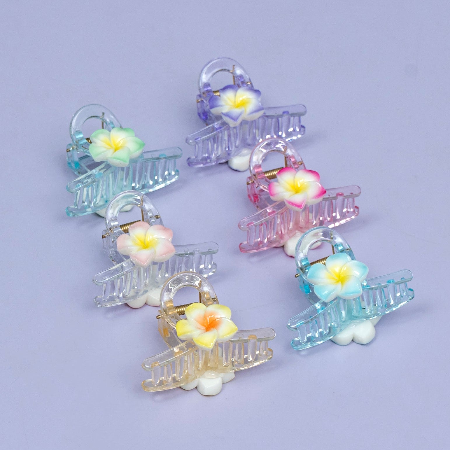 Floral Transparent Hair Claw Clip – UBK3707