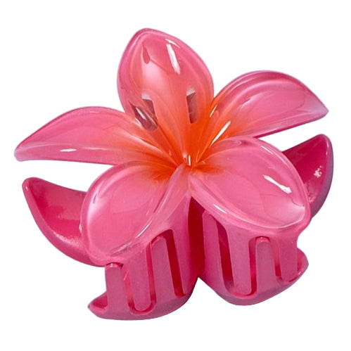 Hawaii Hair claw - UBK2130