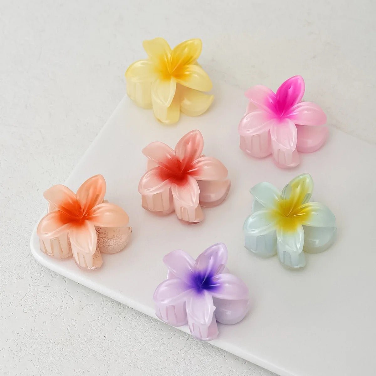 Hawaii mini hair claws (Pack of 6) - UBK2562 - Unboxkar.in